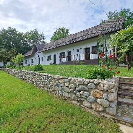 Casa Morii Ohaba Villa ภายนอก รูปภาพ