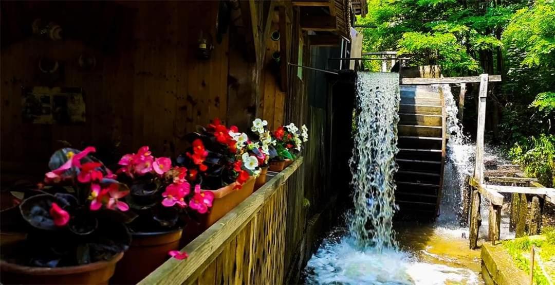 Casa Morii Ohaba Villa ภายนอก รูปภาพ