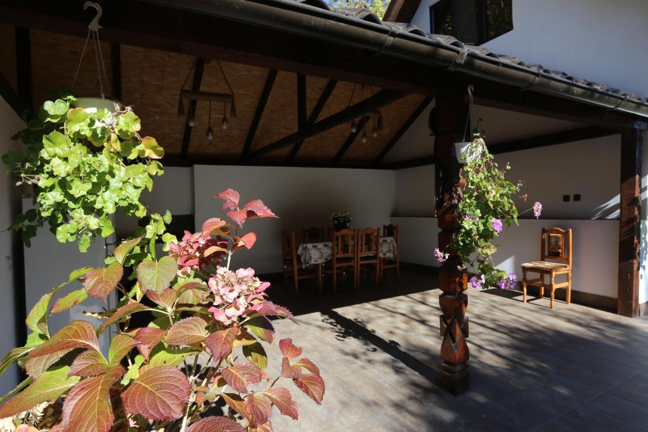 Casa Morii Ohaba Villa ภายนอก รูปภาพ