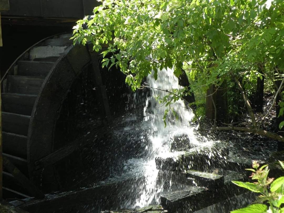 Casa Morii Ohaba Villa ภายนอก รูปภาพ