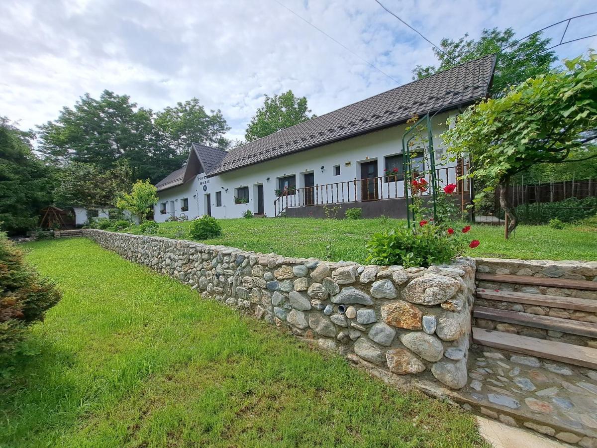 Casa Morii Ohaba Villa ภายนอก รูปภาพ