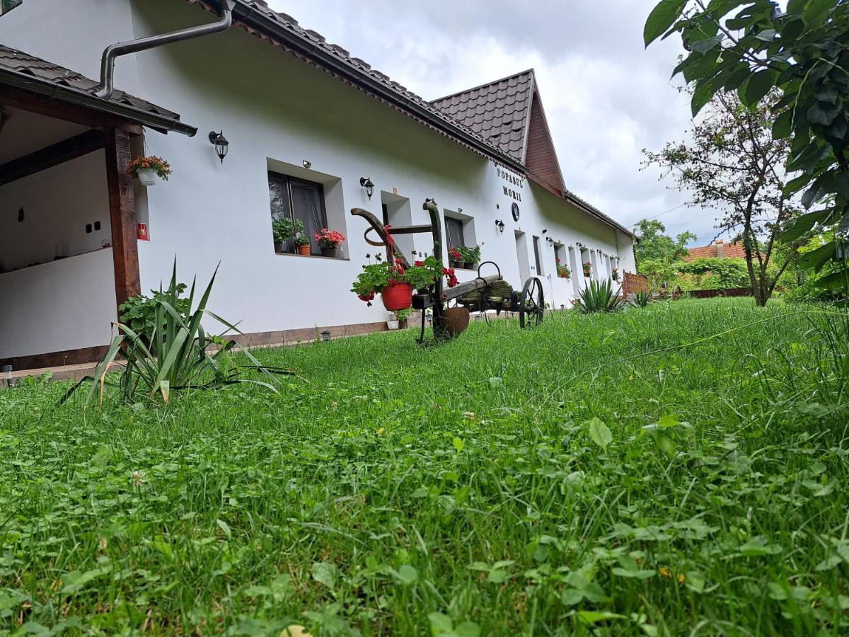 Casa Morii Ohaba Villa ภายนอก รูปภาพ